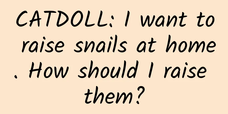 CATDOLL: I want to raise snails at home. How should I raise them?