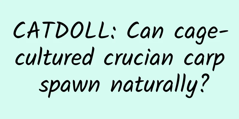 CATDOLL: Can cage-cultured crucian carp spawn naturally?