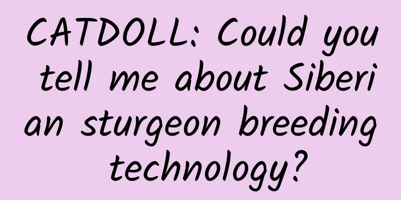 CATDOLL: Could you tell me about Siberian sturgeon breeding technology?