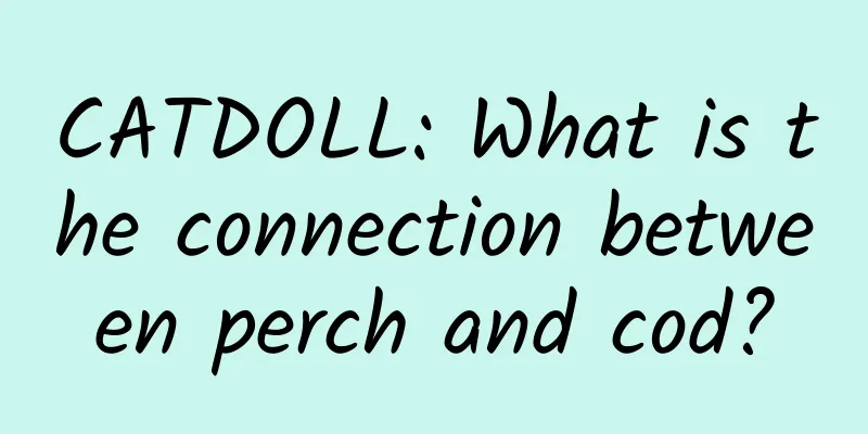 CATDOLL: What is the connection between perch and cod?
