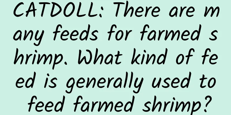 CATDOLL: There are many feeds for farmed shrimp. What kind of feed is generally used to feed farmed shrimp?