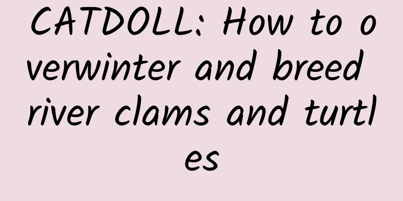 CATDOLL: How to overwinter and breed river clams and turtles