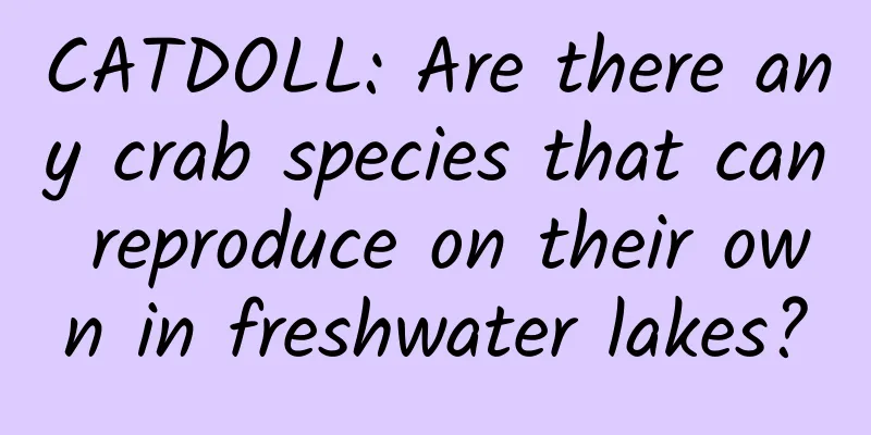 CATDOLL: Are there any crab species that can reproduce on their own in freshwater lakes?