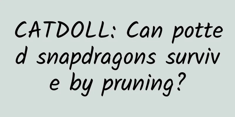 CATDOLL: Can potted snapdragons survive by pruning?