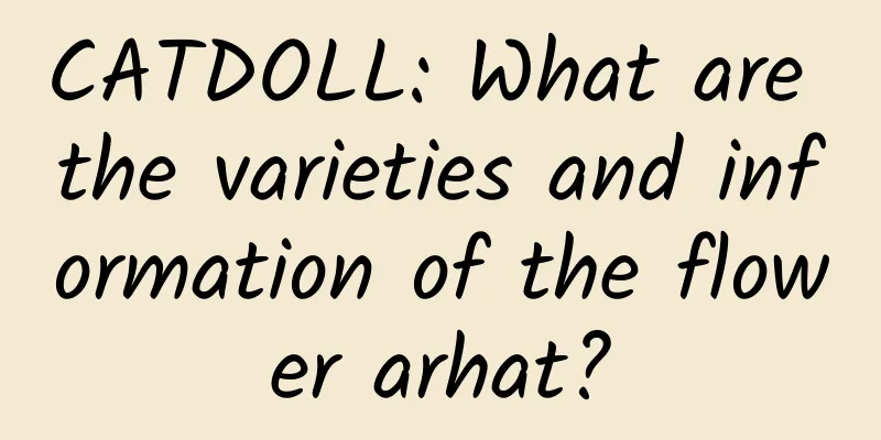 CATDOLL: What are the varieties and information of the flower arhat?