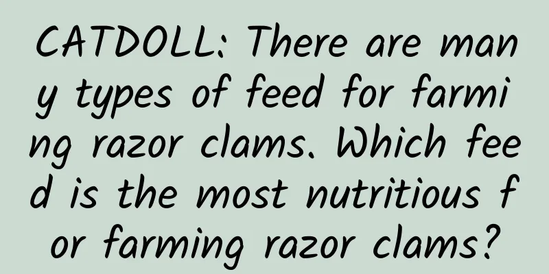 CATDOLL: There are many types of feed for farming razor clams. Which feed is the most nutritious for farming razor clams?