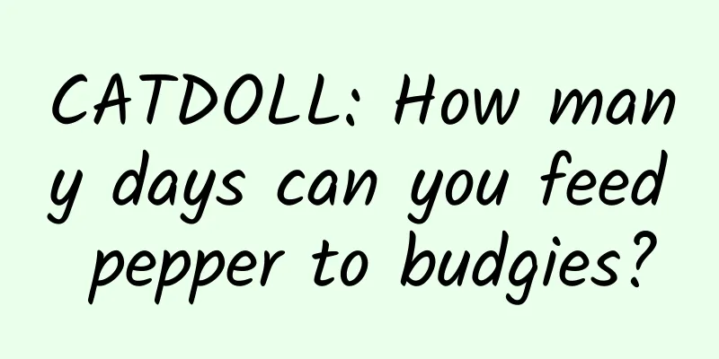 CATDOLL: How many days can you feed pepper to budgies?