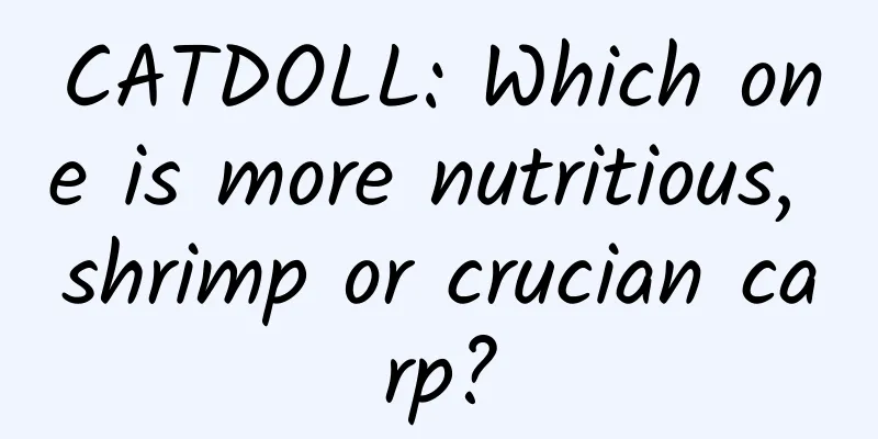 CATDOLL: Which one is more nutritious, shrimp or crucian carp?