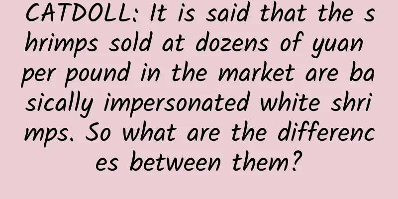 CATDOLL: It is said that the shrimps sold at dozens of yuan per pound in the market are basically impersonated white shrimps. So what are the differences between them?