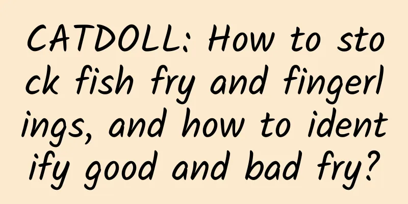 CATDOLL: How to stock fish fry and fingerlings, and how to identify good and bad fry?
