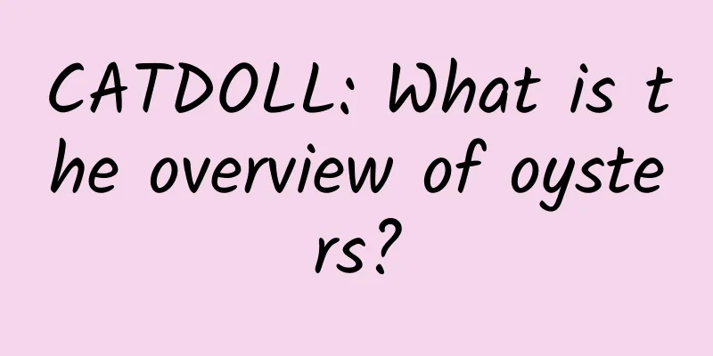 CATDOLL: What is the overview of oysters?