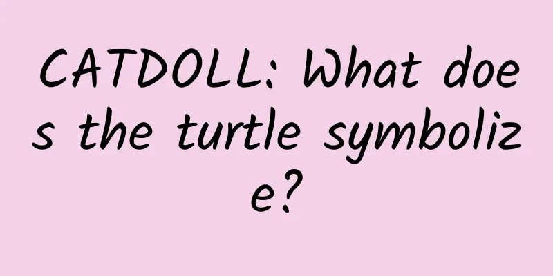CATDOLL: What does the turtle symbolize?