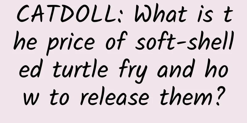 CATDOLL: What is the price of soft-shelled turtle fry and how to release them?