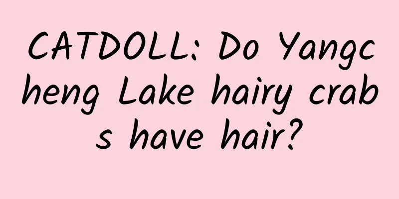 CATDOLL: Do Yangcheng Lake hairy crabs have hair?