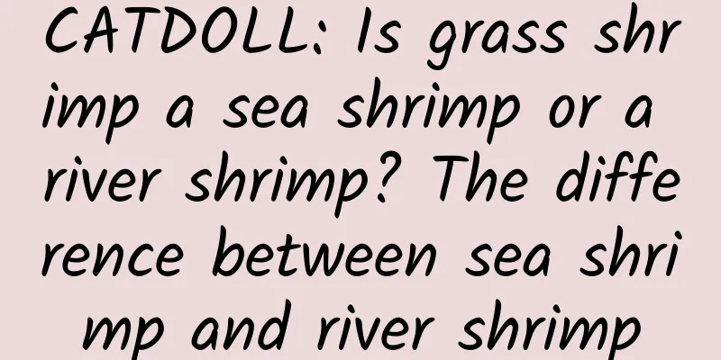 CATDOLL: Is grass shrimp a sea shrimp or a river shrimp? The difference between sea shrimp and river shrimp