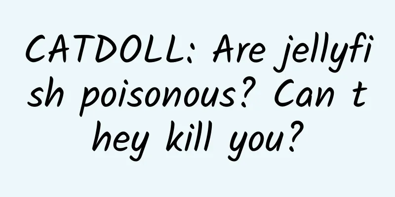 CATDOLL: Are jellyfish poisonous? Can they kill you?