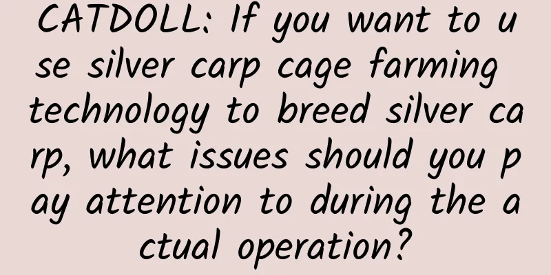 CATDOLL: If you want to use silver carp cage farming technology to breed silver carp, what issues should you pay attention to during the actual operation?