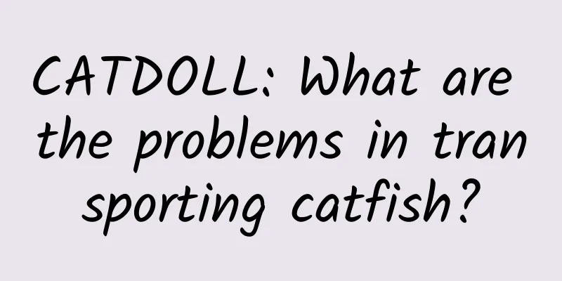 CATDOLL: What are the problems in transporting catfish?
