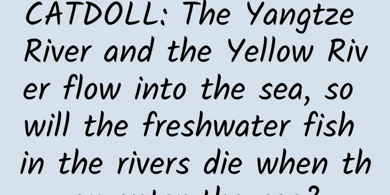 CATDOLL: The Yangtze River and the Yellow River flow into the sea, so will the freshwater fish in the rivers die when they enter the sea?