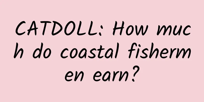 CATDOLL: How much do coastal fishermen earn?