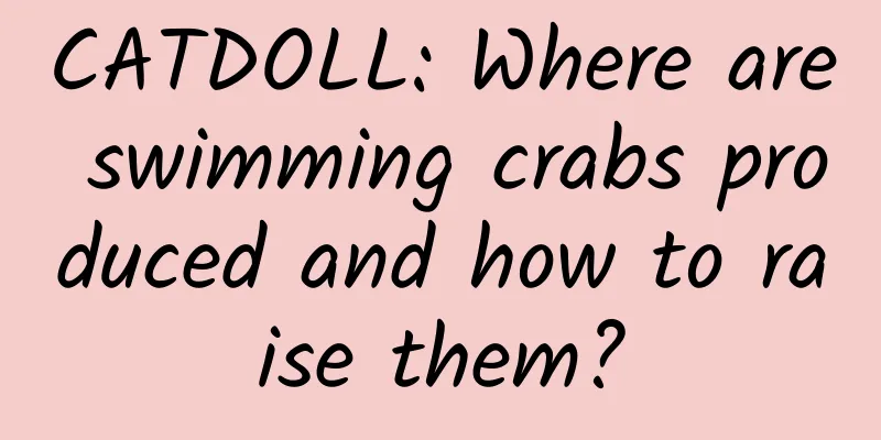 CATDOLL: Where are swimming crabs produced and how to raise them?
