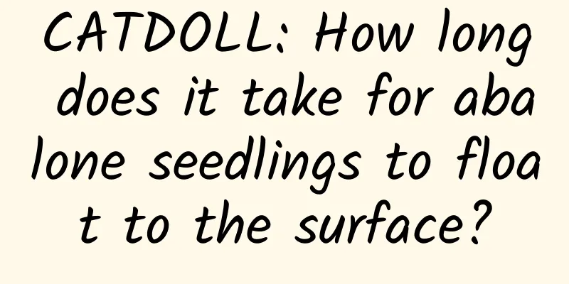 CATDOLL: How long does it take for abalone seedlings to float to the surface?