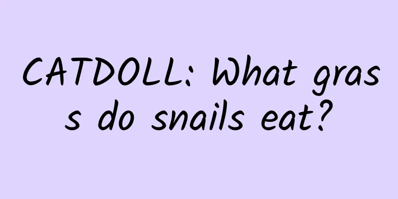CATDOLL: What grass do snails eat?