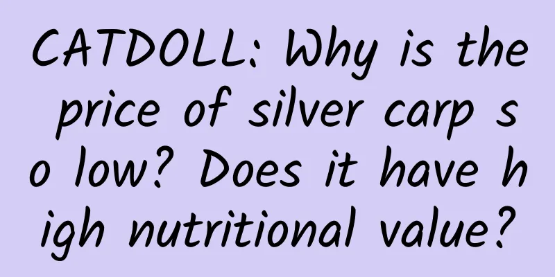 CATDOLL: Why is the price of silver carp so low? Does it have high nutritional value?