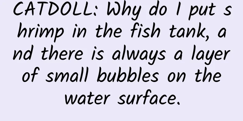 CATDOLL: Why do I put shrimp in the fish tank, and there is always a layer of small bubbles on the water surface.