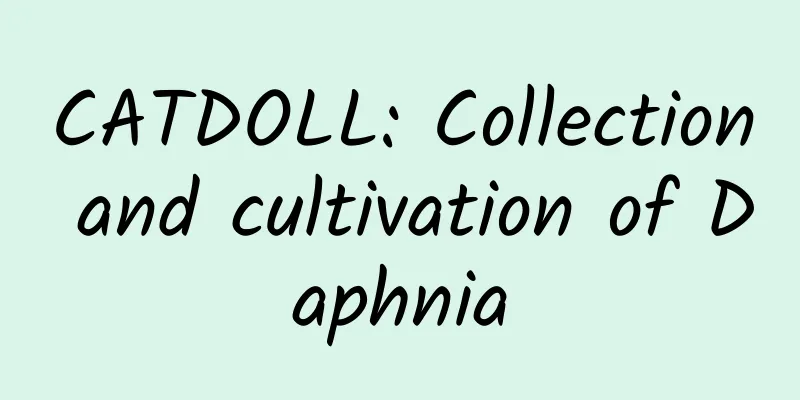 CATDOLL: Collection and cultivation of Daphnia