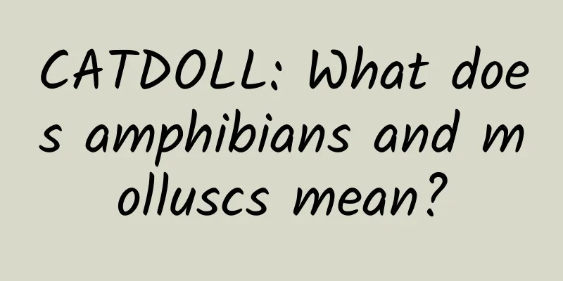 CATDOLL: What does amphibians and molluscs mean?