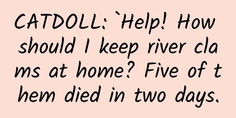 CATDOLL: `Help! How should I keep river clams at home? Five of them died in two days.