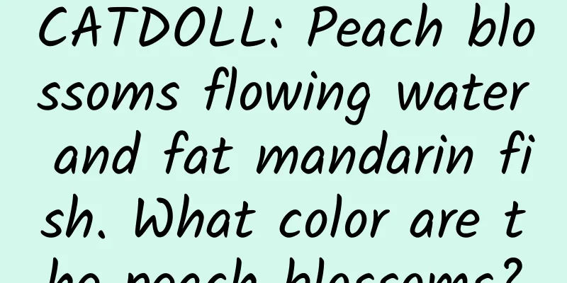 CATDOLL: Peach blossoms flowing water and fat mandarin fish. What color are the peach blossoms?