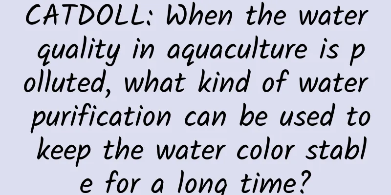 CATDOLL: When the water quality in aquaculture is polluted, what kind of water purification can be used to keep the water color stable for a long time?