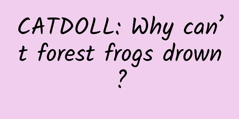 CATDOLL: Why can’t forest frogs drown?