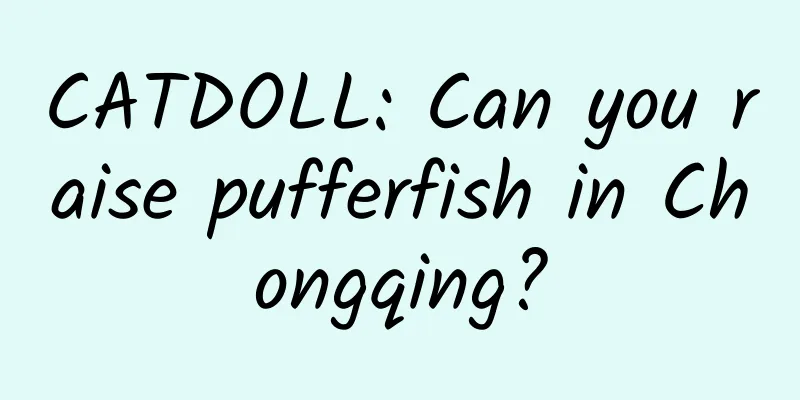 CATDOLL: Can you raise pufferfish in Chongqing?