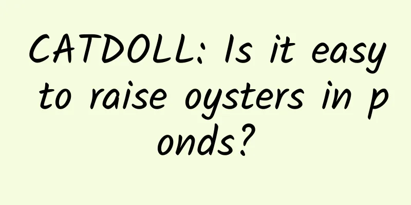 CATDOLL: Is it easy to raise oysters in ponds?