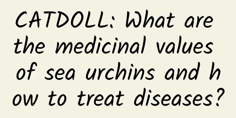 CATDOLL: What are the medicinal values ​​of sea urchins and how to treat diseases?