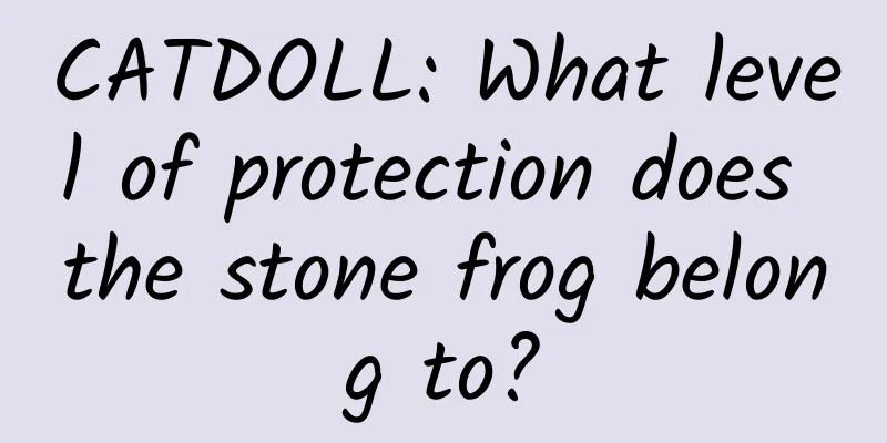 CATDOLL: What level of protection does the stone frog belong to?