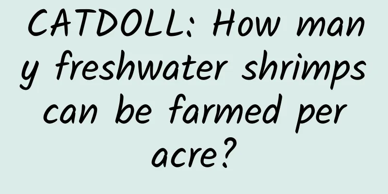 CATDOLL: How many freshwater shrimps can be farmed per acre?