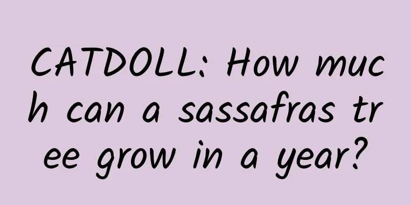 CATDOLL: How much can a sassafras tree grow in a year?