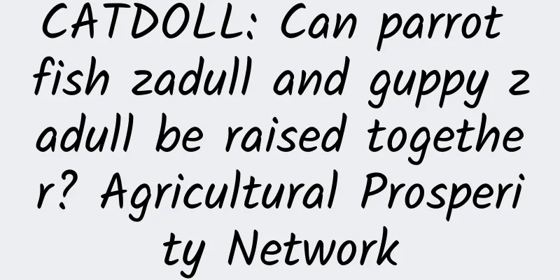 CATDOLL: Can parrot fish zadull and guppy zadull be raised together? Agricultural Prosperity Network