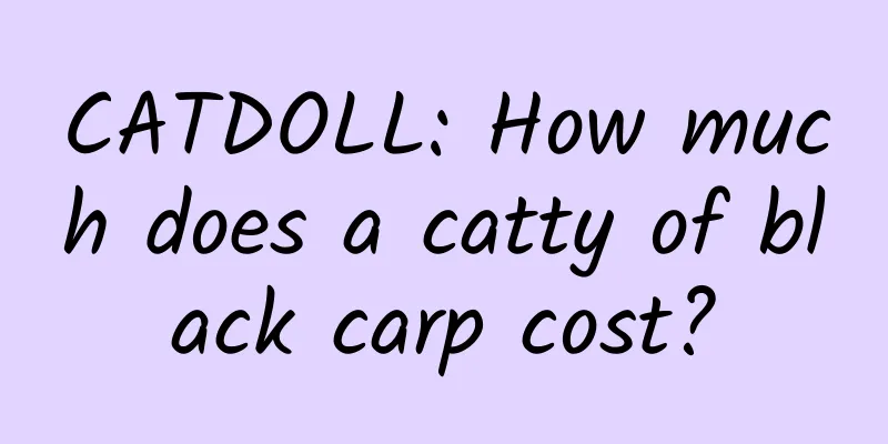CATDOLL: How much does a catty of black carp cost?