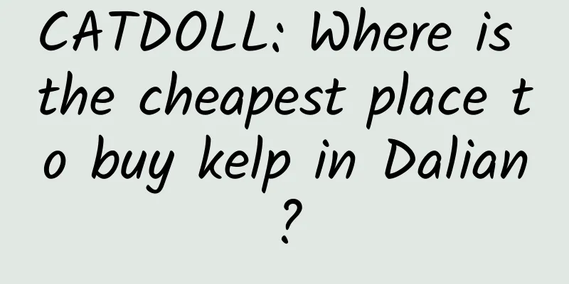 CATDOLL: Where is the cheapest place to buy kelp in Dalian?