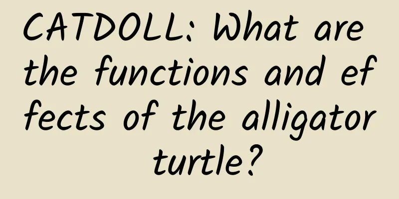 CATDOLL: What are the functions and effects of the alligator turtle?