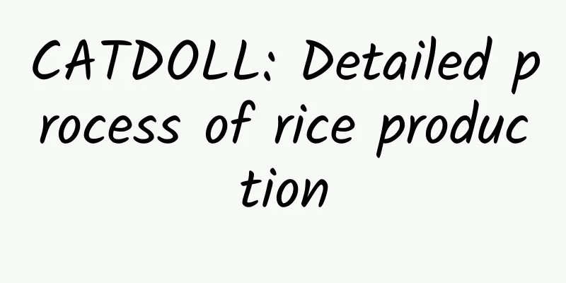 CATDOLL: Detailed process of rice production