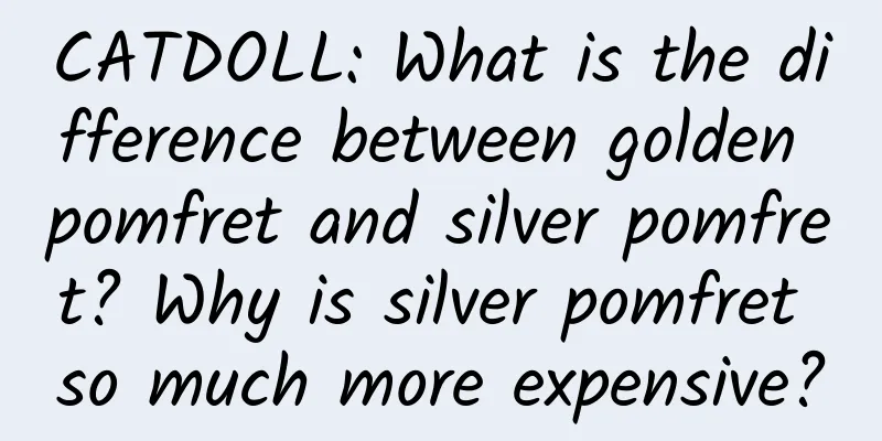 CATDOLL: What is the difference between golden pomfret and silver pomfret? Why is silver pomfret so much more expensive?