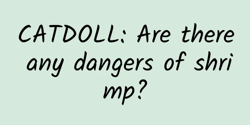CATDOLL: Are there any dangers of shrimp?