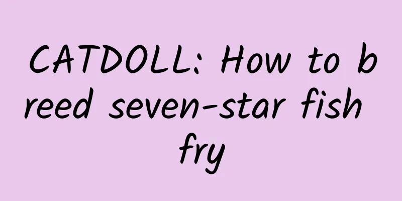 CATDOLL: How to breed seven-star fish fry