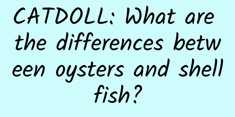 CATDOLL: What are the differences between oysters and shellfish?